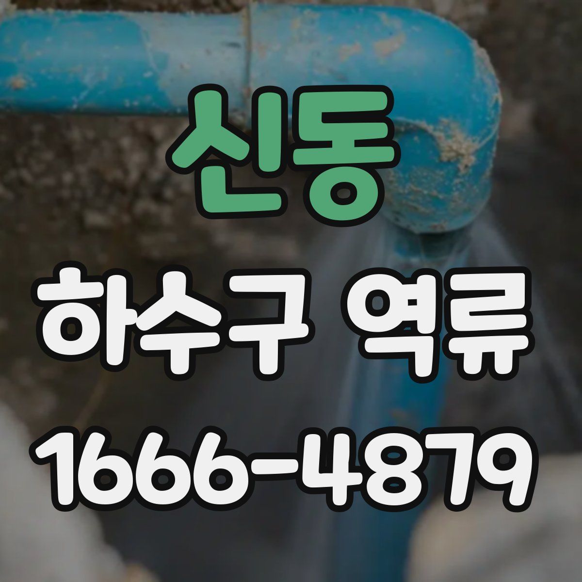 신동 하수구 역류