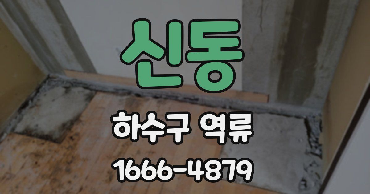 신동 하수구 역류