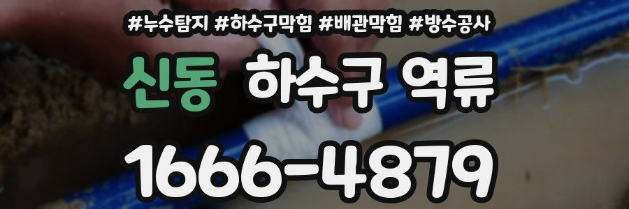 신동 하수구 역류