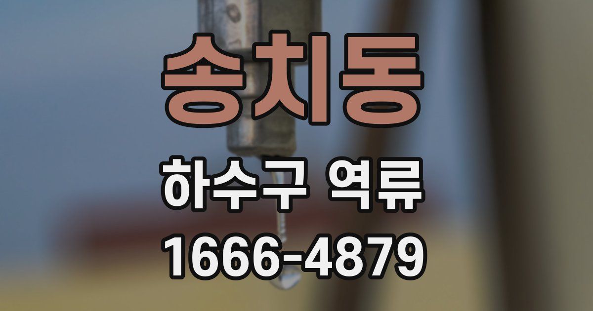 송치동 하수구 역류