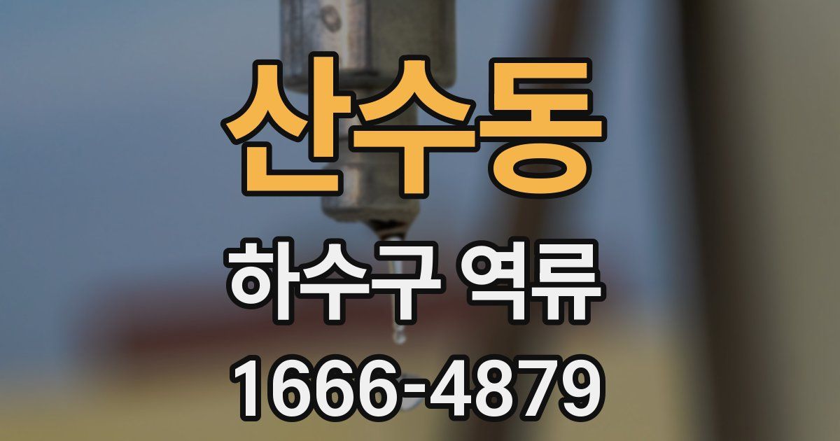 산수동 하수구 역류