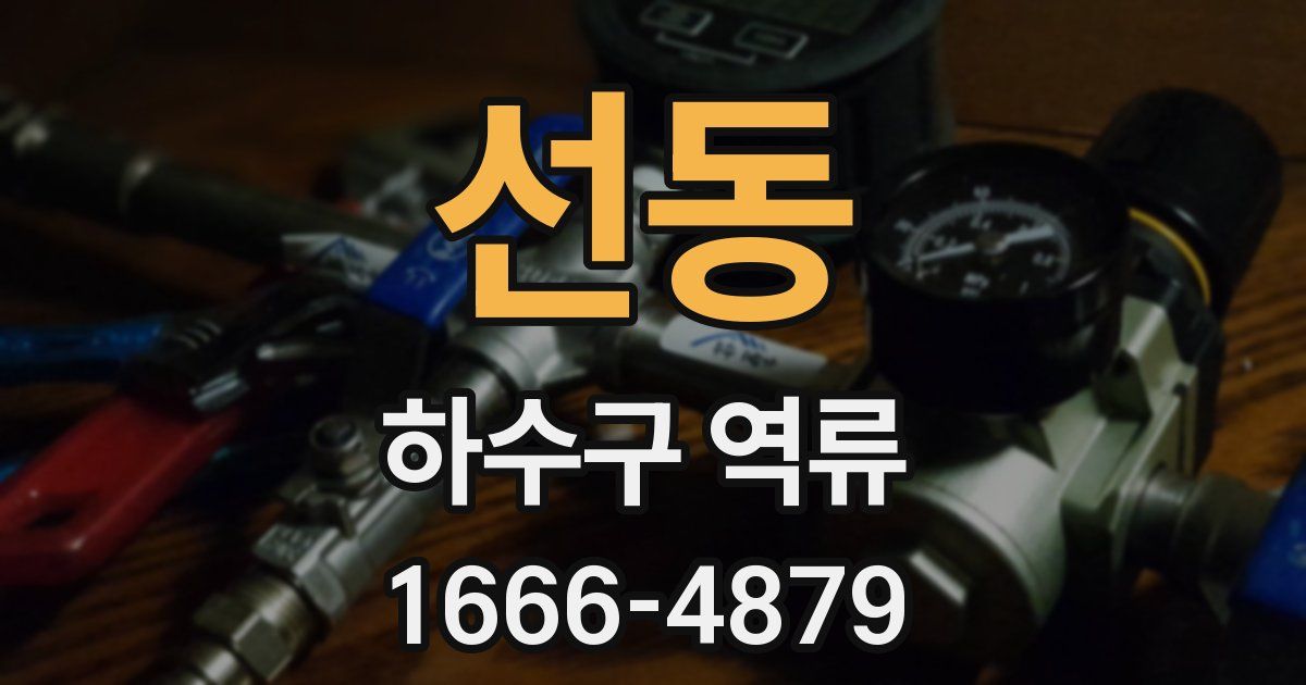 선동 하수구 역류