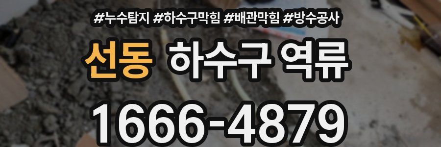 선동 하수구 역류