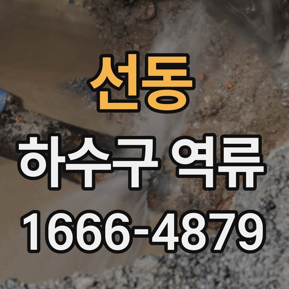 선동 하수구 역류