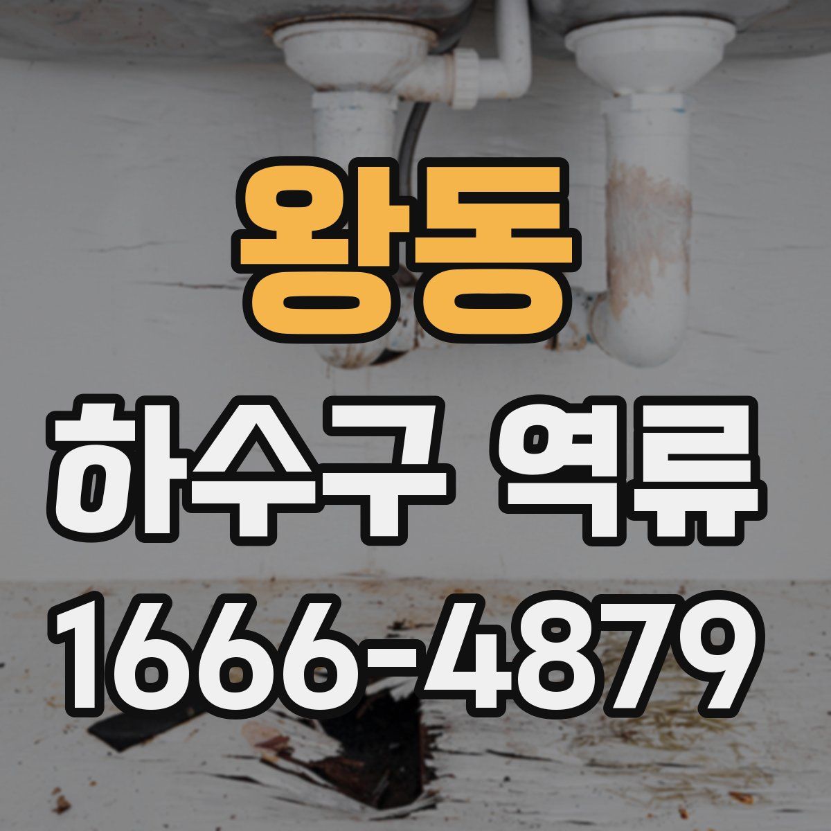 왕동 하수구 역류