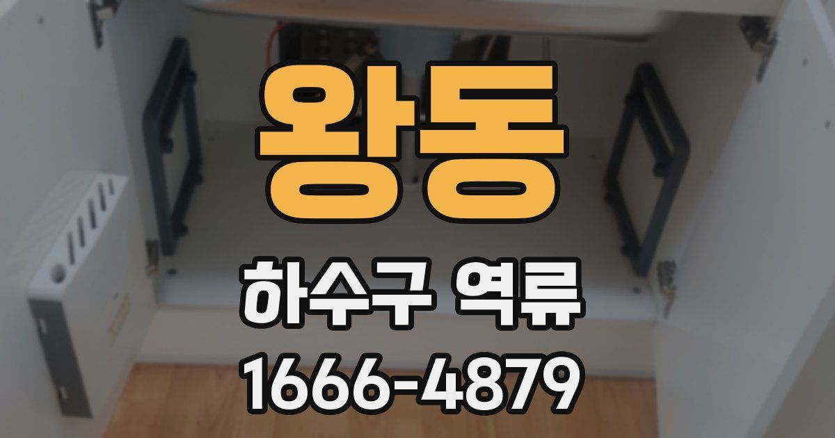 왕동 하수구 역류