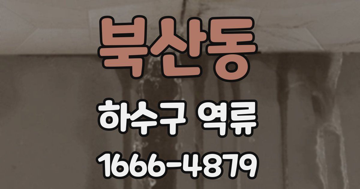 북산동 하수구 역류