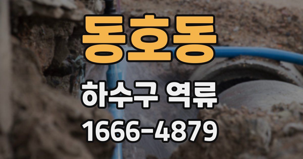 동호동 하수구 역류