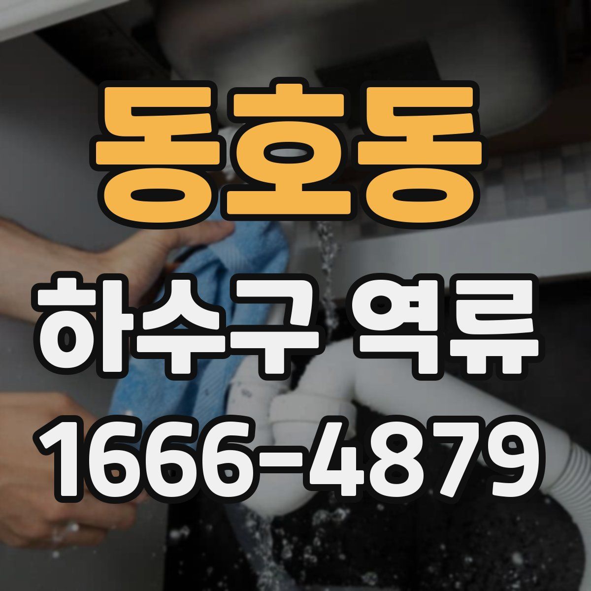 동호동 하수구 역류