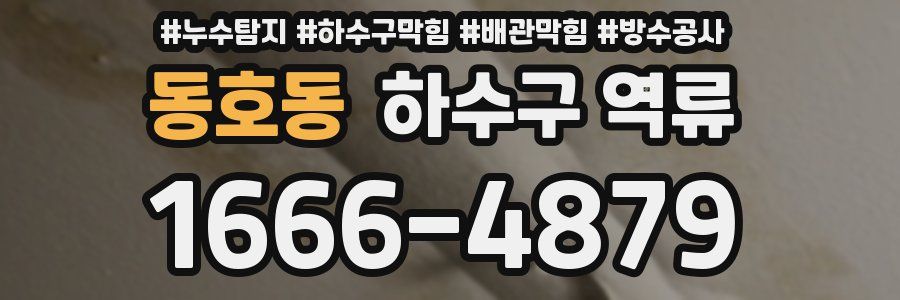 동호동 하수구 역류
