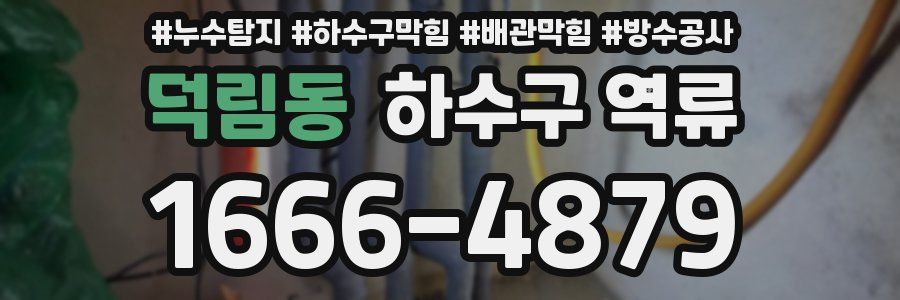 덕림동 하수구 역류