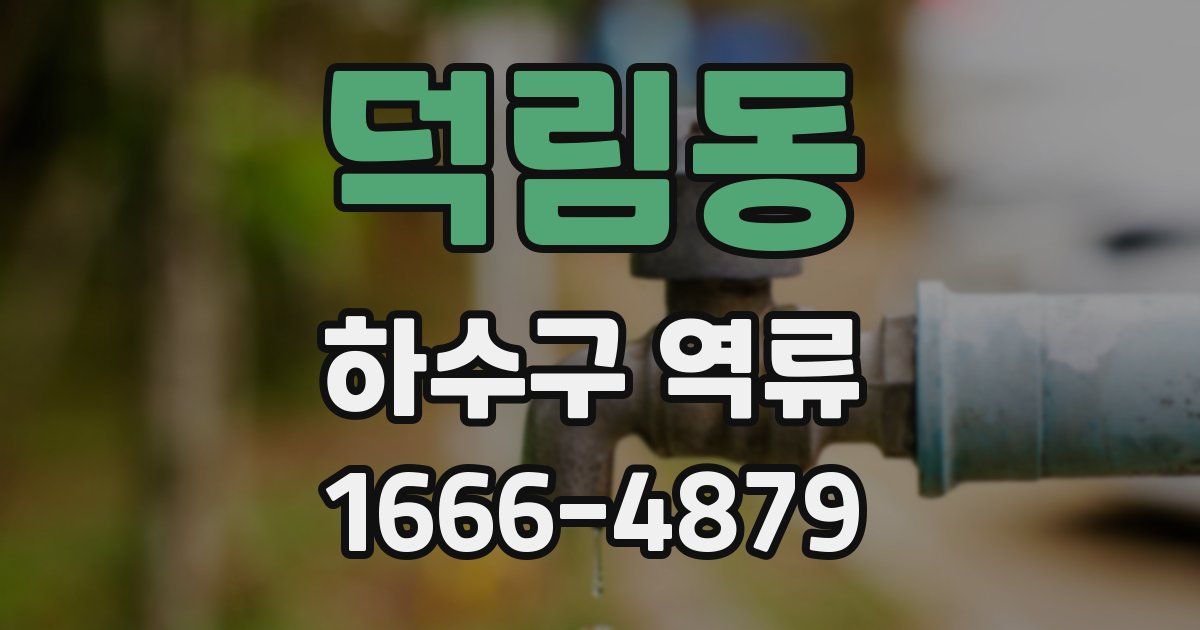 덕림동 하수구 역류