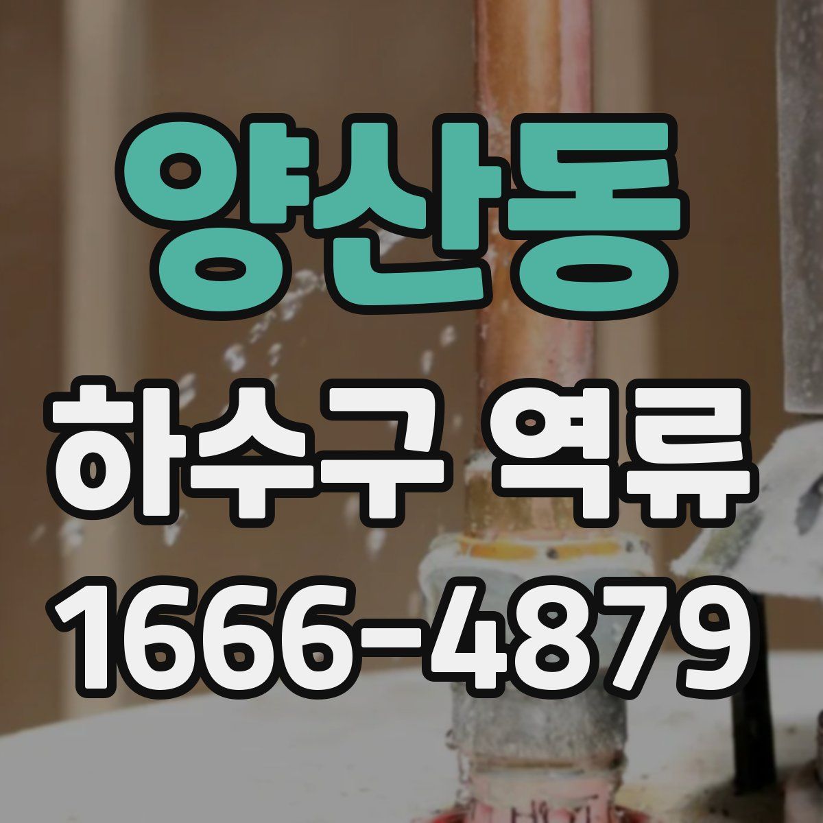 양산동 하수구 역류
