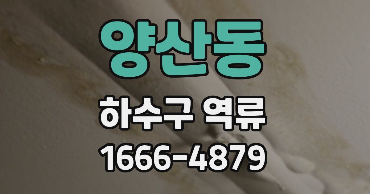 양산동 하수구 역류