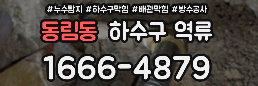 동림동 하수구 역류