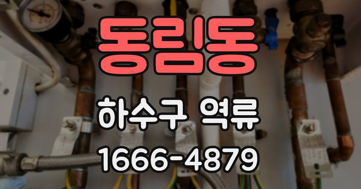 동림동 하수구 역류