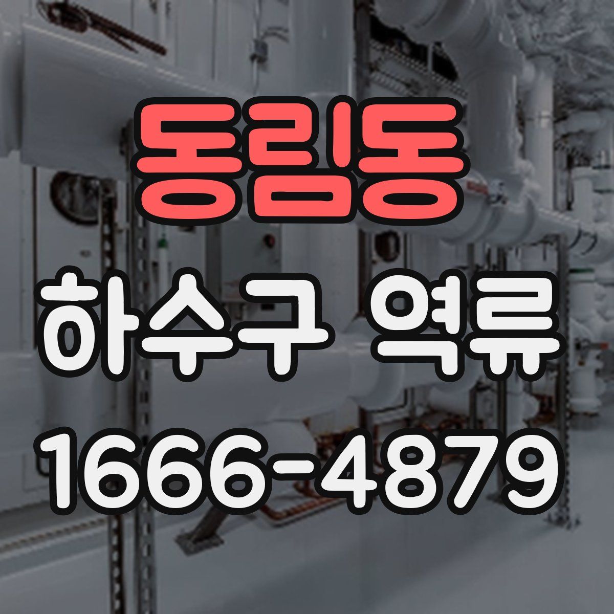동림동 하수구 역류
