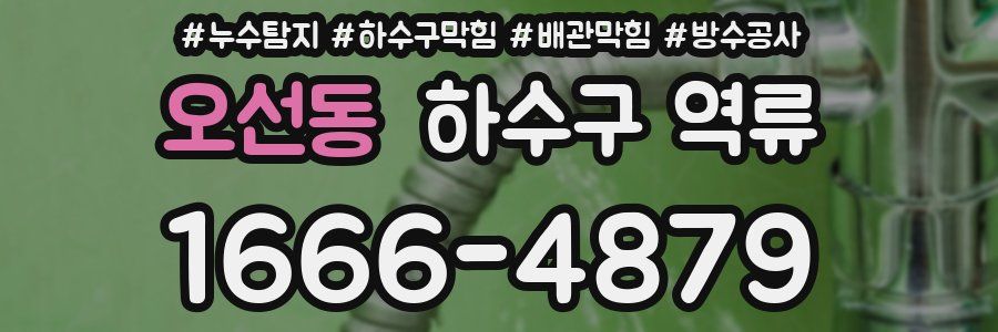 오선동 하수구 역류