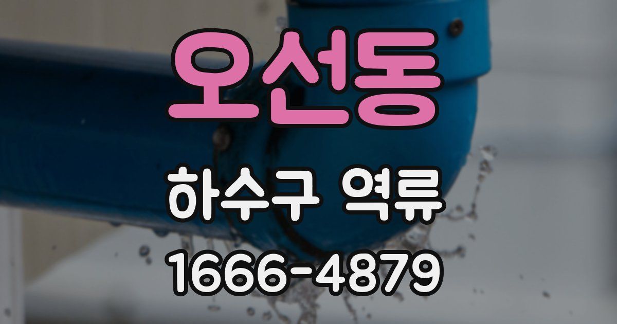 오선동 하수구 역류