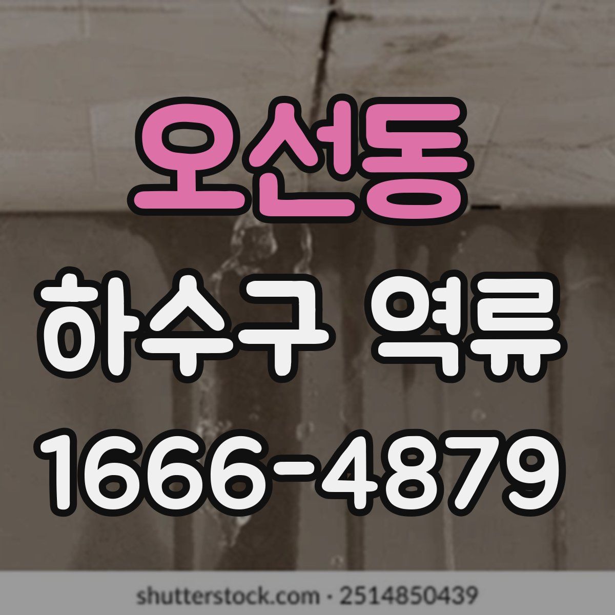 오선동 하수구 역류