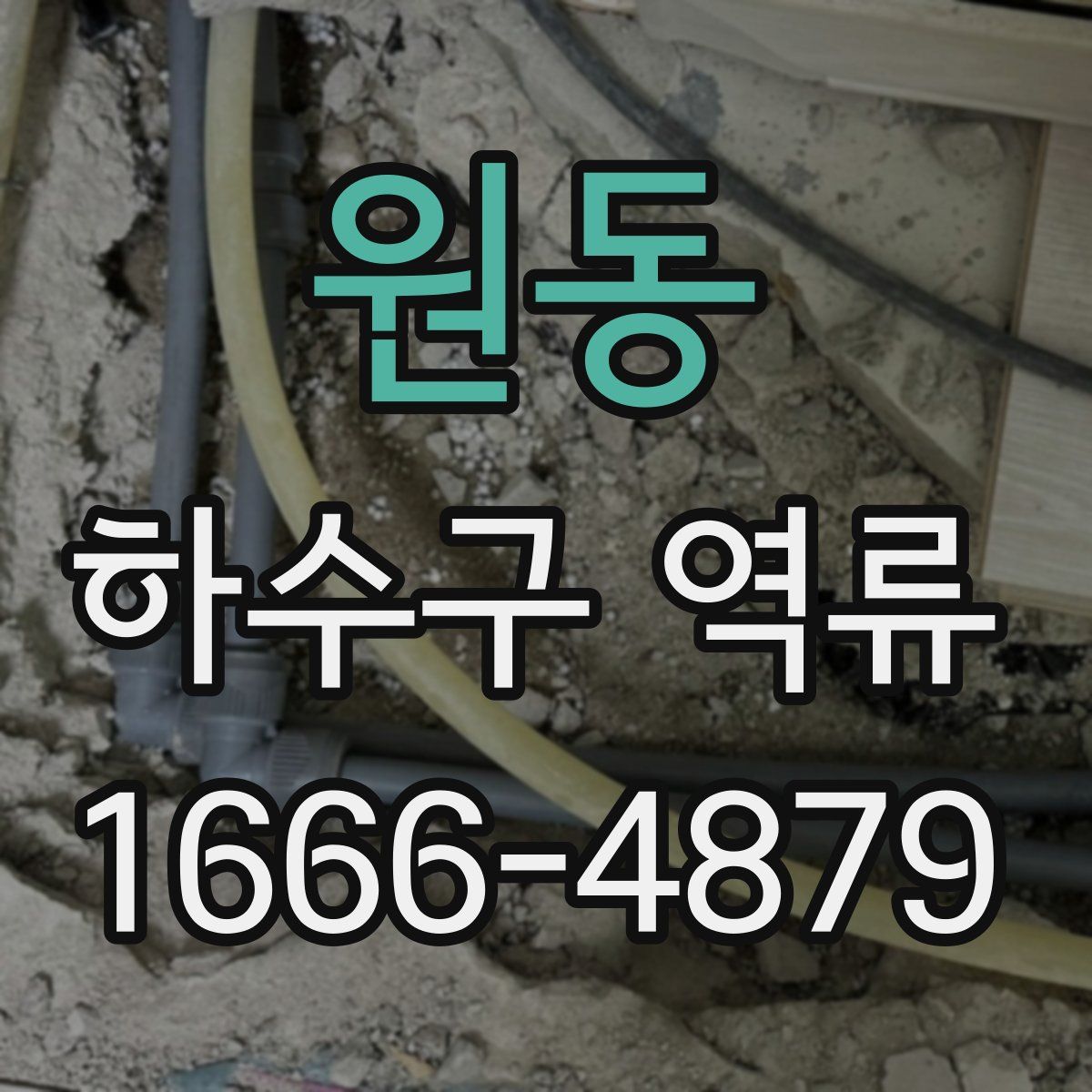 원동 하수구 역류