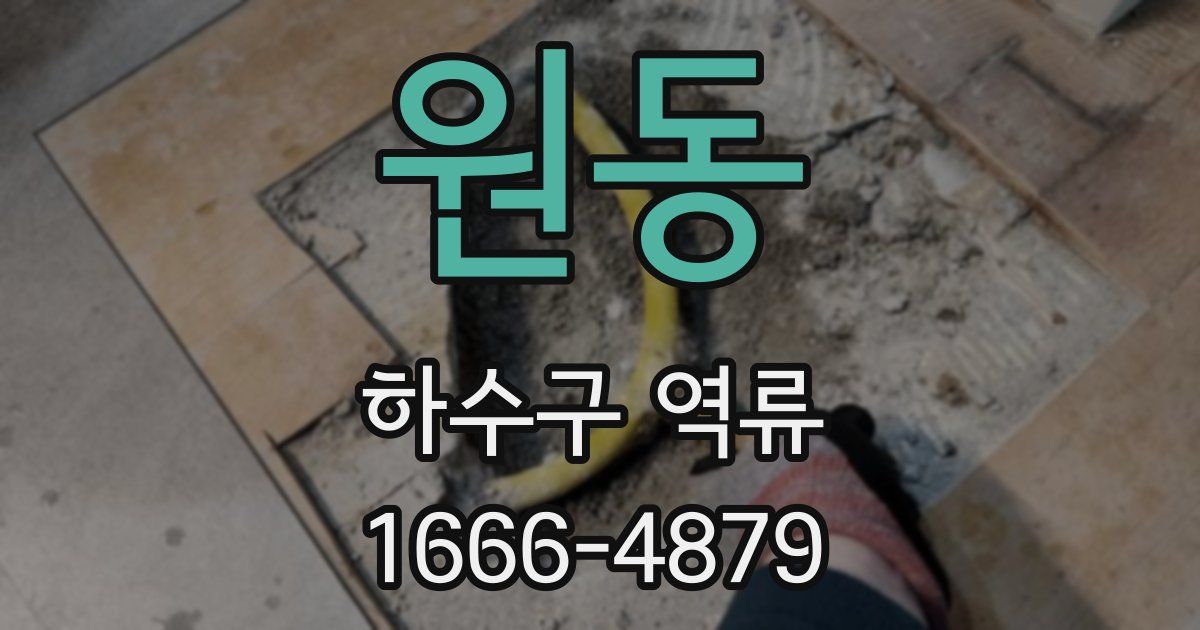 원동 하수구 역류