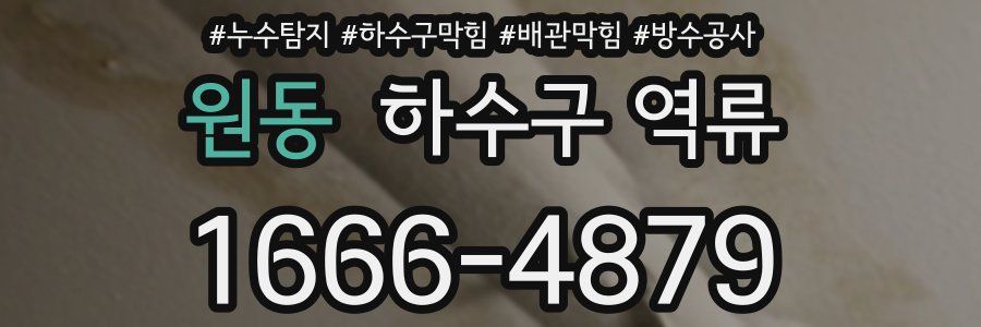 원동 하수구 역류