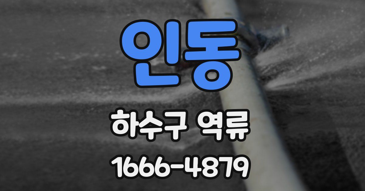 인동 하수구 역류