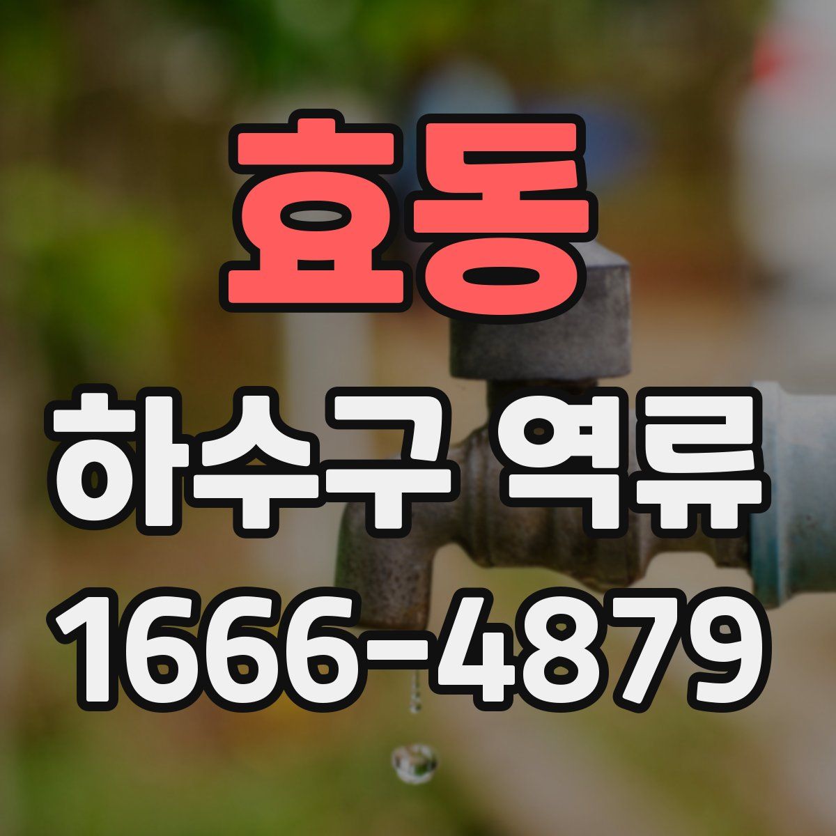 효동 하수구 역류