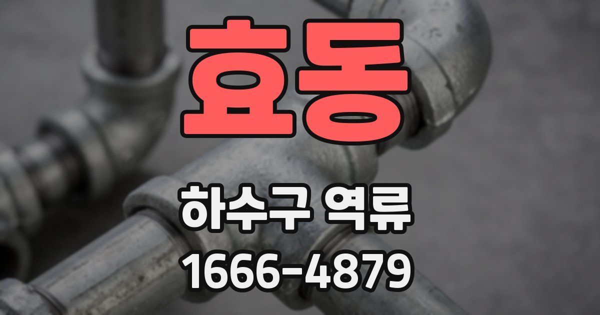 효동 하수구 역류