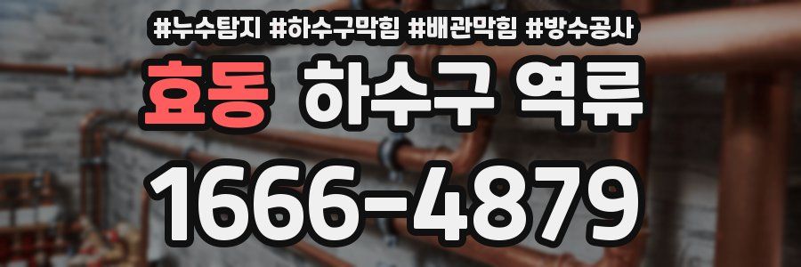 효동 하수구 역류