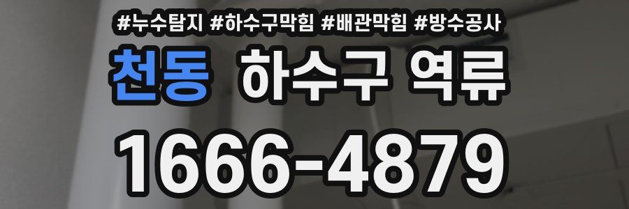 천동 하수구 역류