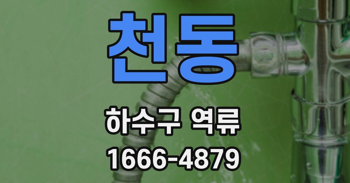 천동 하수구 역류
