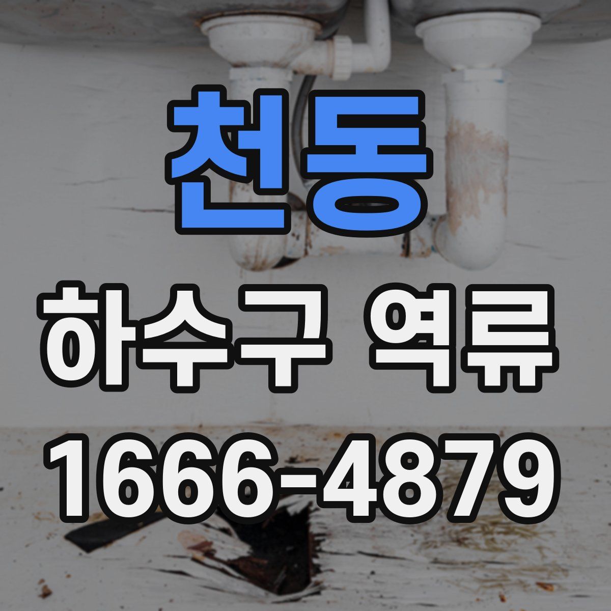 천동 하수구 역류