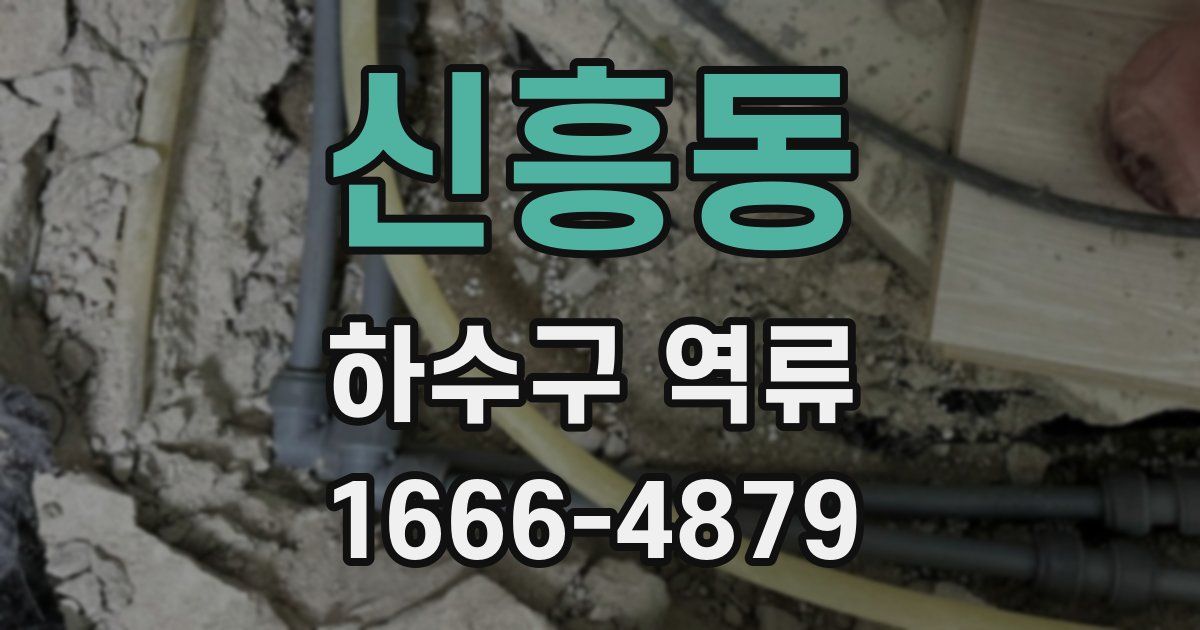 신흥동 하수구 역류