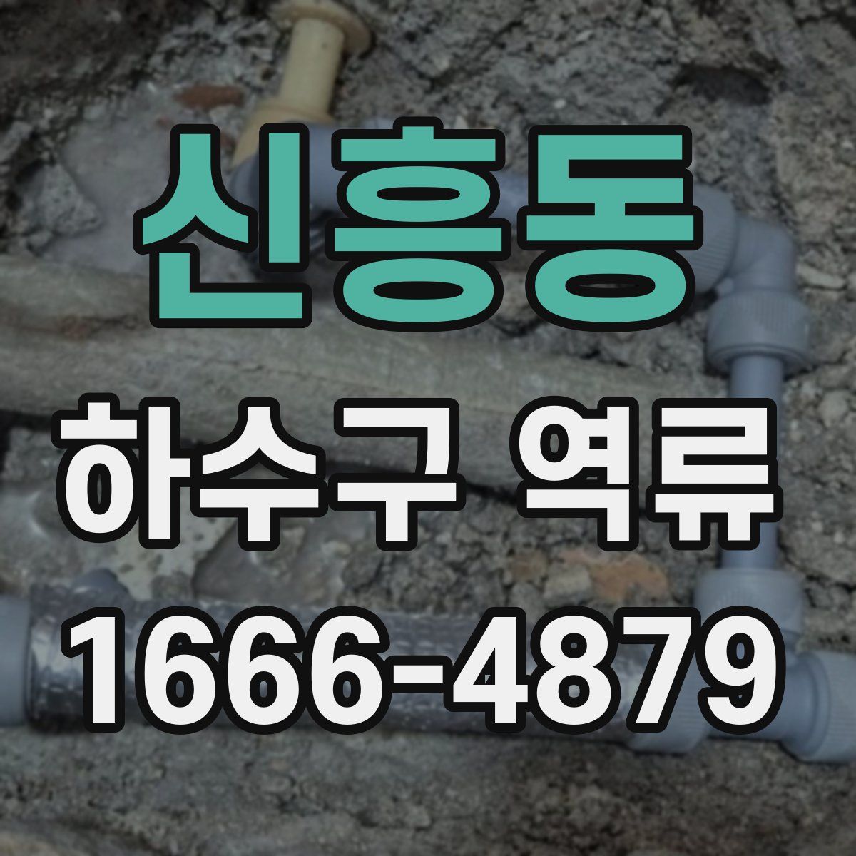 신흥동 하수구 역류
