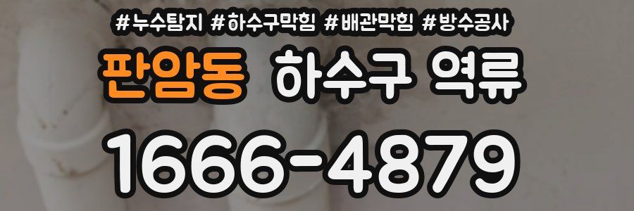 판암동 하수구 역류
