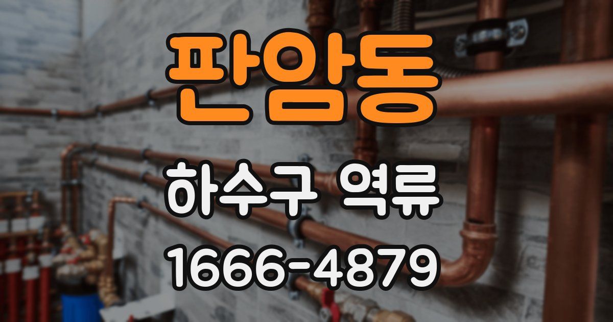 판암동 하수구 역류