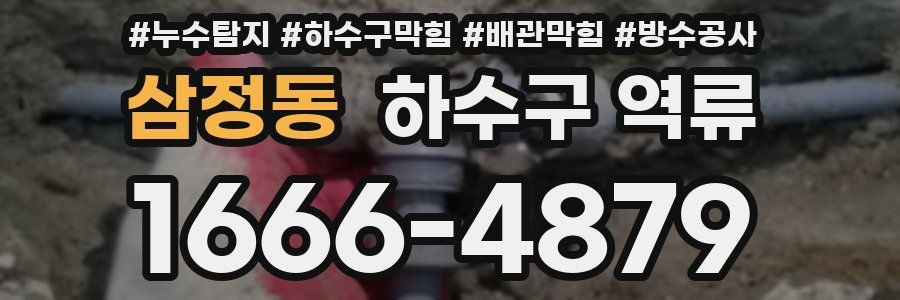 삼정동 하수구 역류