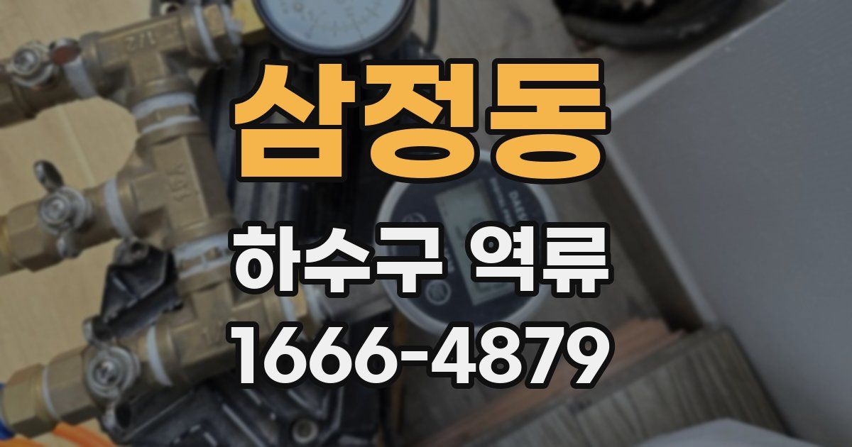 삼정동 하수구 역류