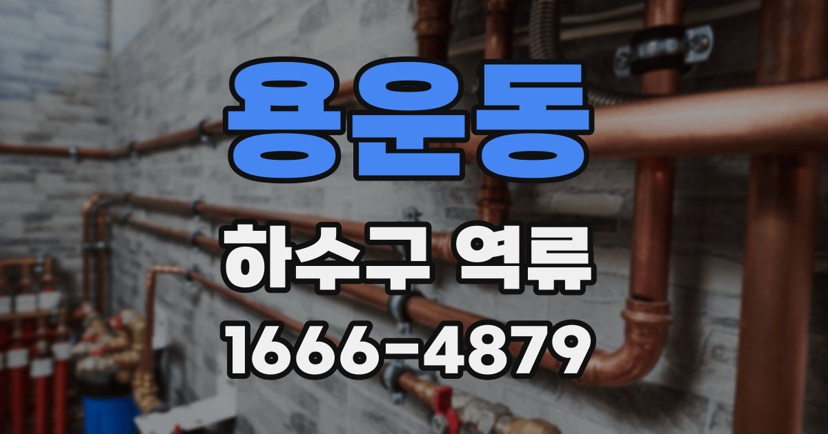 용운동 하수구 역류