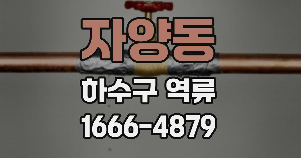 자양동 하수구 역류