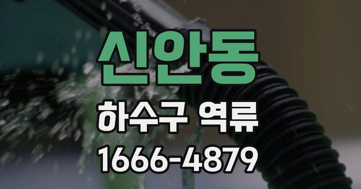 신안동 하수구 역류