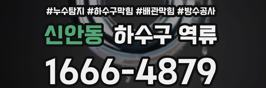 신안동 하수구 역류