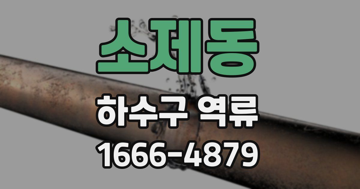 소제동 하수구 역류