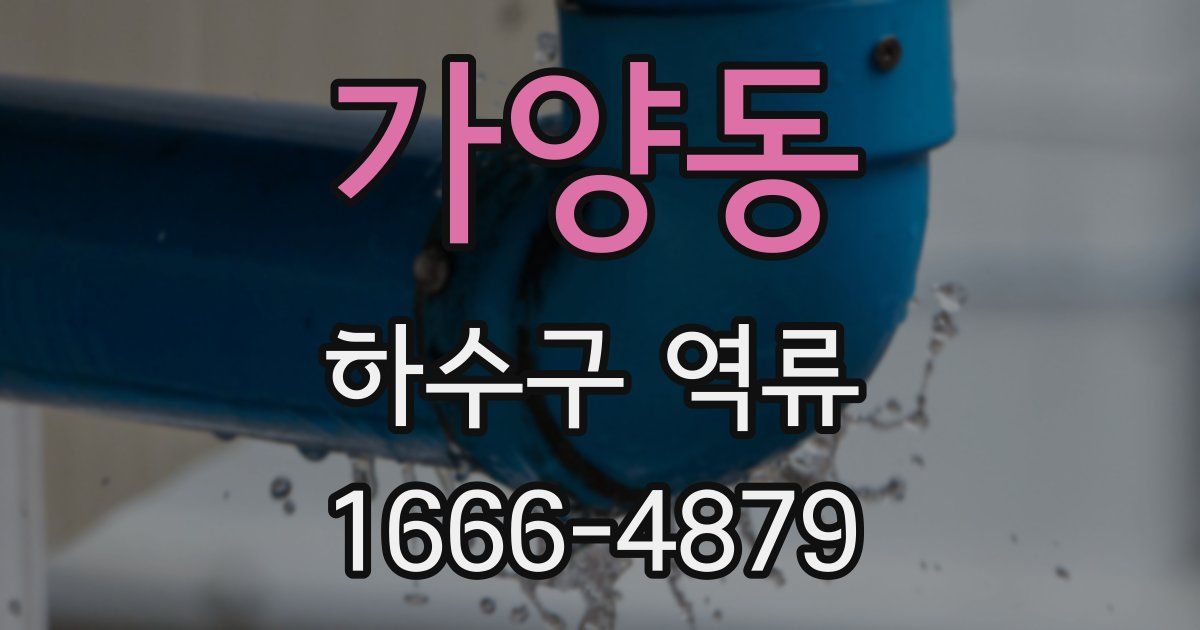 가양동 하수구 역류