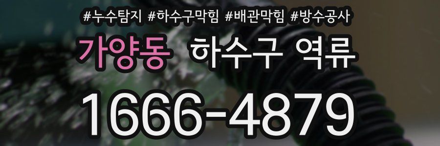 가양동 하수구 역류