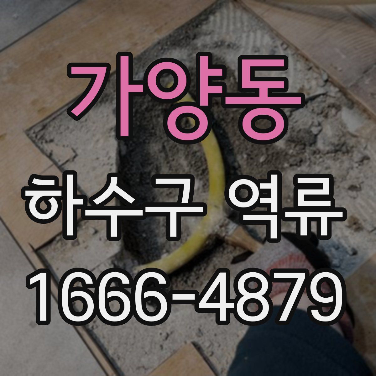 가양동 하수구 역류
