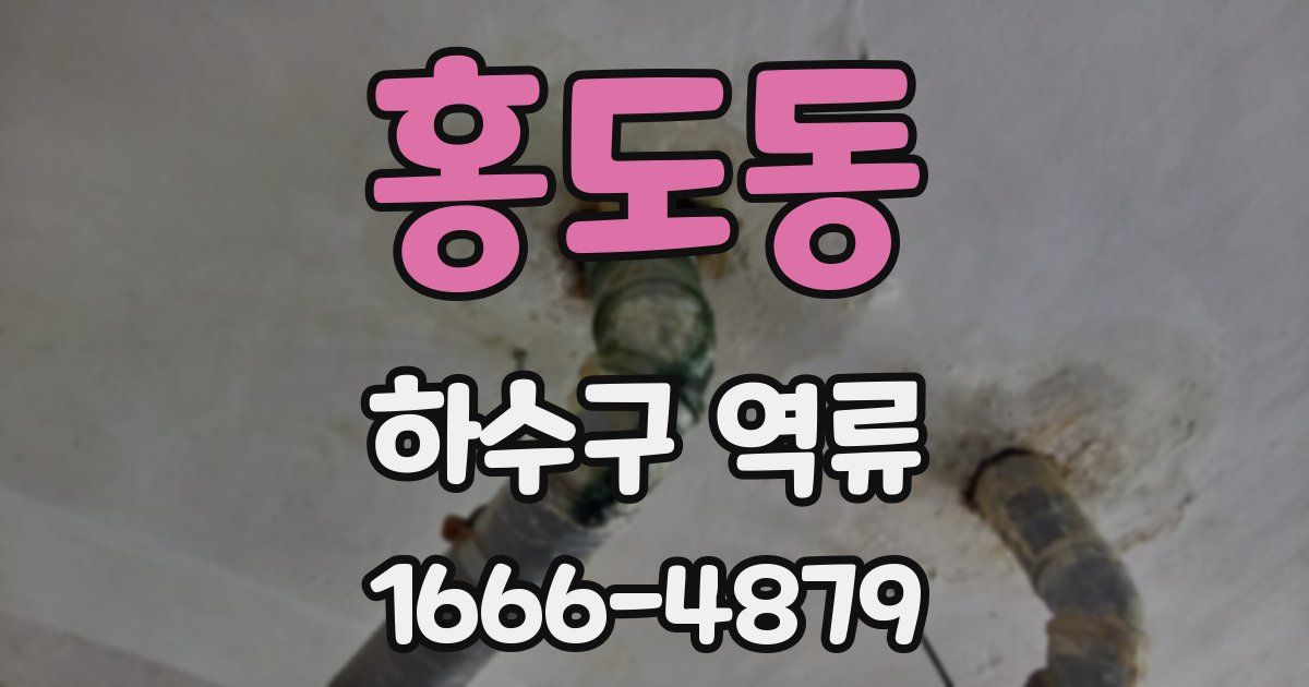 홍도동 하수구 역류