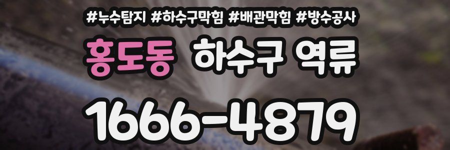 홍도동 하수구 역류